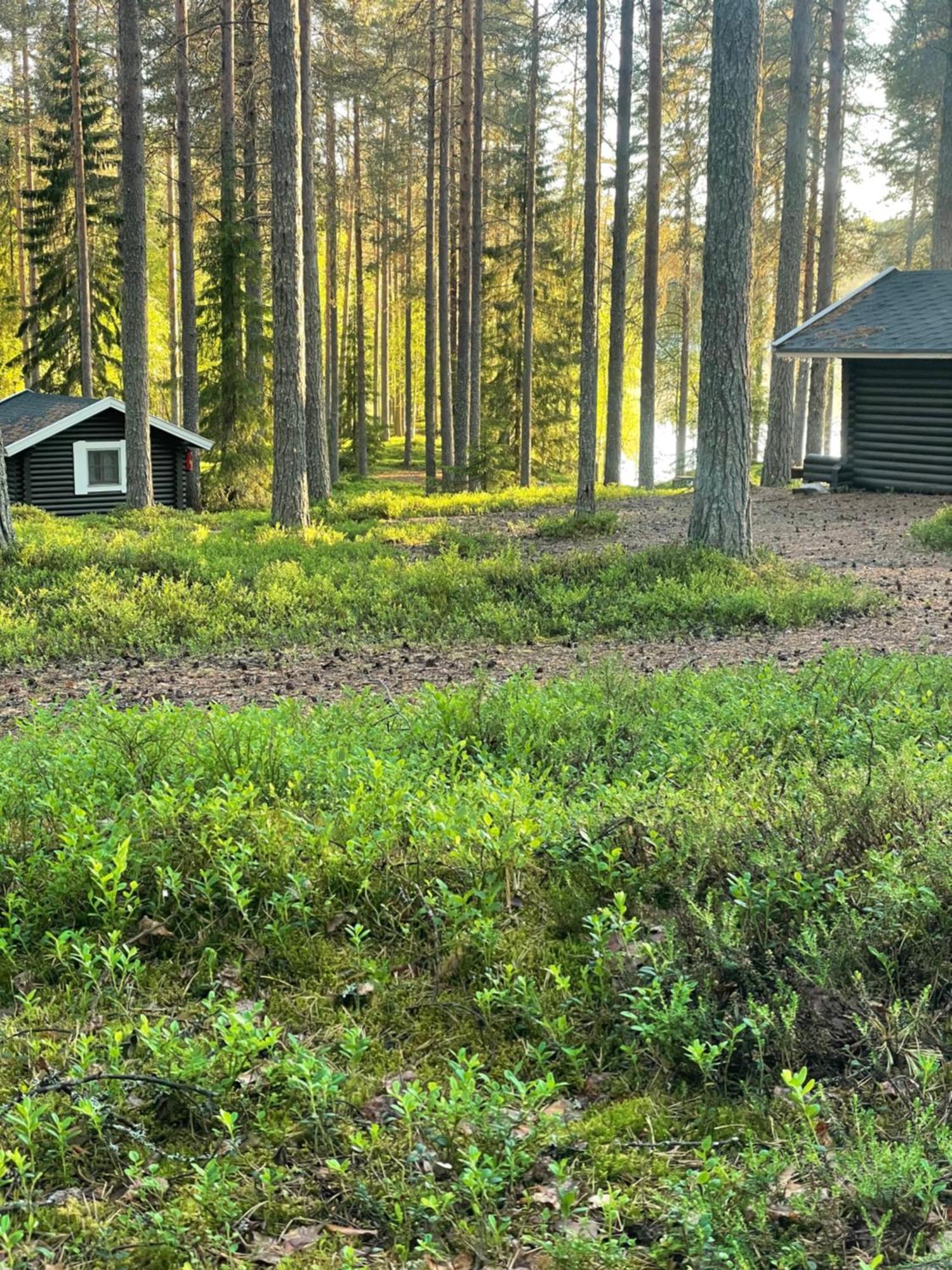 Laahtanen Camping Ristijärvi 외부 사진